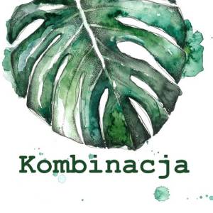 kombinacja