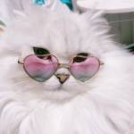 otise