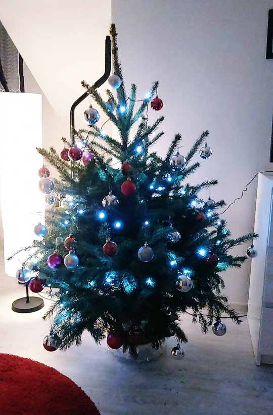 Pochwal się choinką