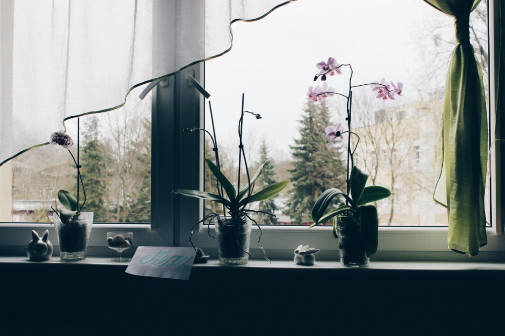 Konkurs na Dzień Kobiet (Wyniki)