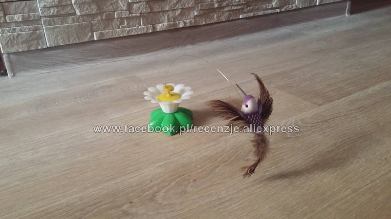 aliexpress.com - POCHWAL SIĘ zakupami! :)
