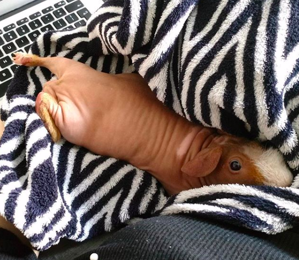 Pochwalmy się swoimi pupilkami :)