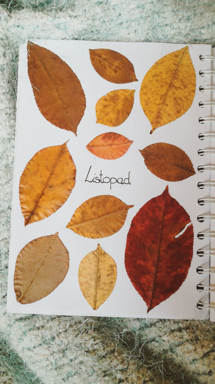 Bullet Journal - Prowadzisz?