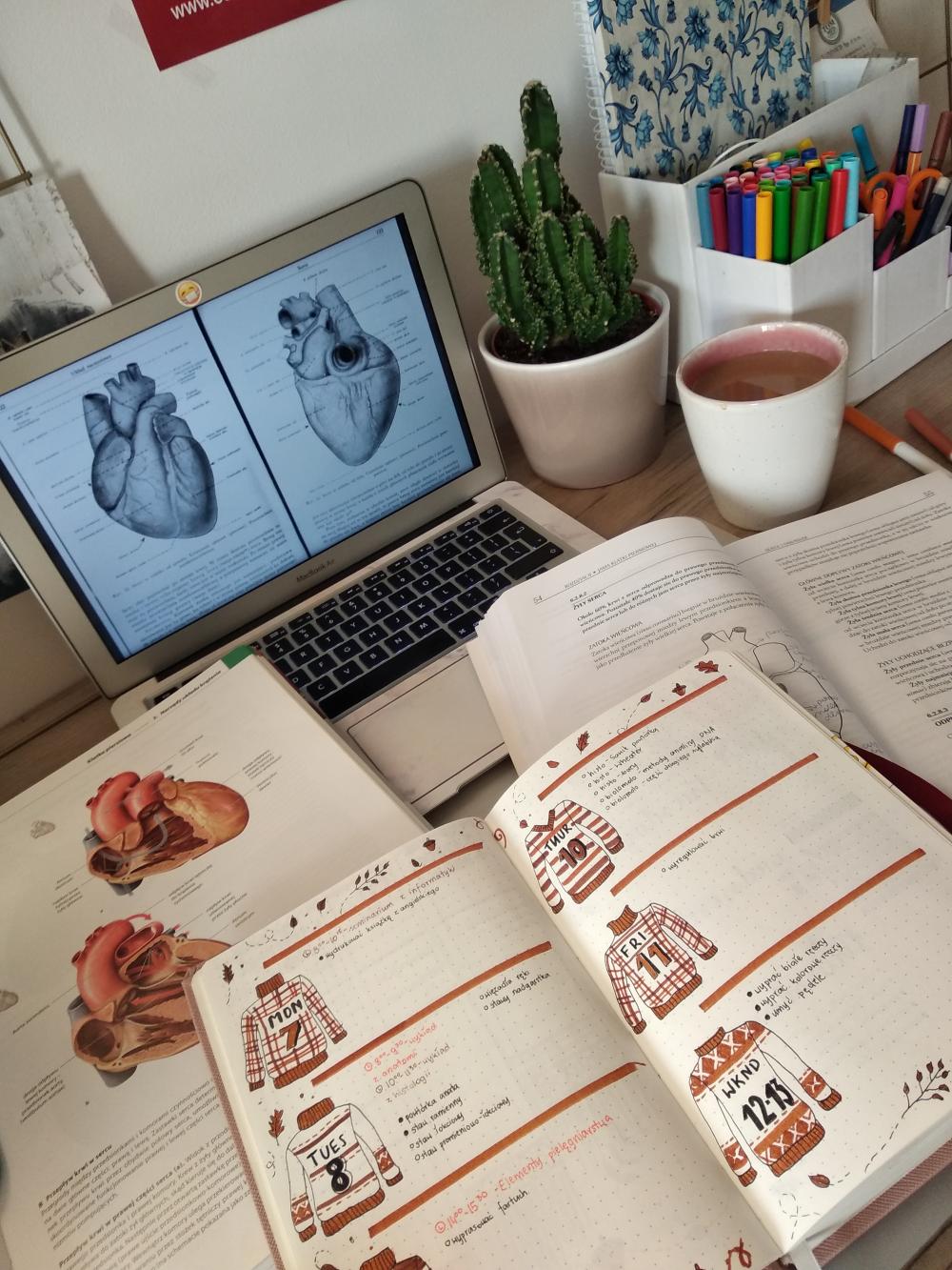 Bullet Journal - Prowadzisz?