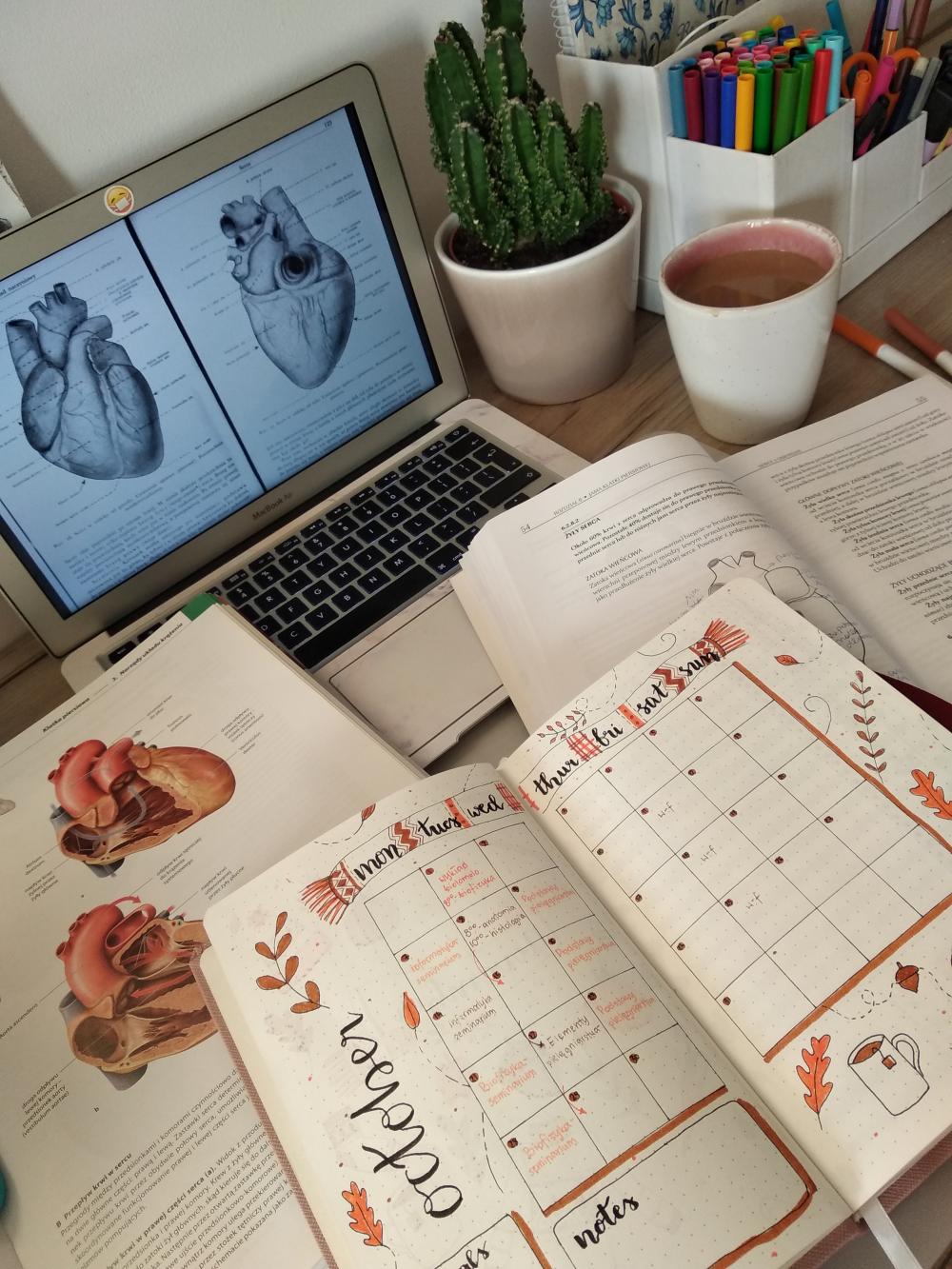 Bullet Journal - Prowadzisz?