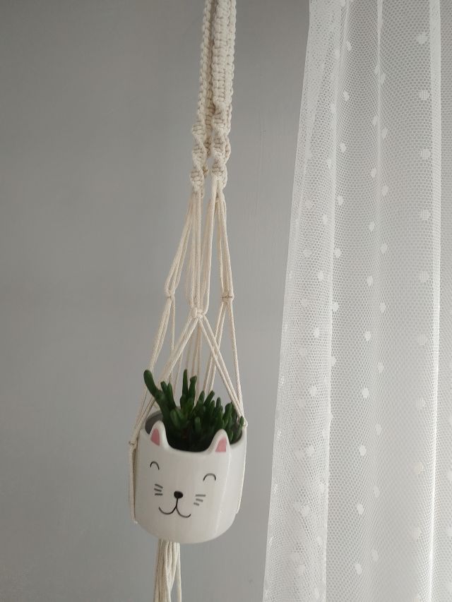 Nasze rośliny 🌿