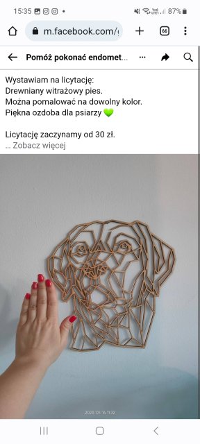 Pomóżmy naszej Clouder wygrać walkę z endometriozą