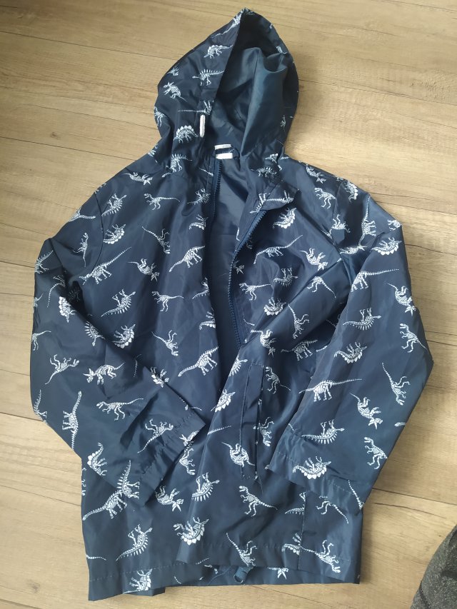 Oddam w dobre ręce