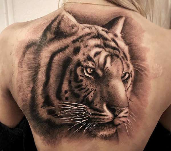 infoblog dresscloud Tatuaż tygrys - co oznacza? Poznaj ukryte znaczenie i symbolikę