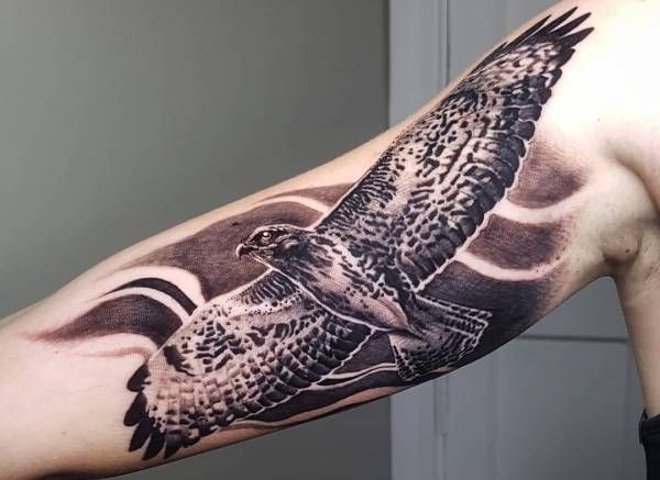 infoblog dresscloud Tatuaż jastrzębia - co oznacza? Poznaj ukryte znaczenie i symbolikę