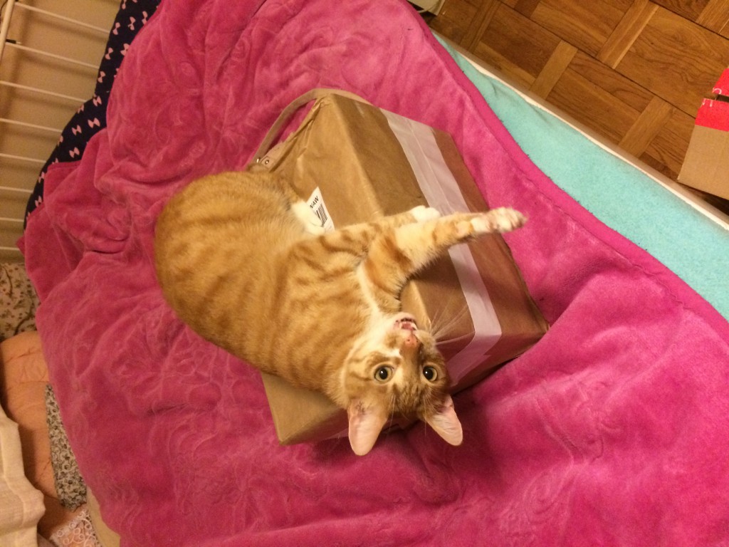 Wymiana kosmetyczna nr 1/2017