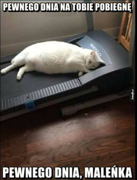 Dziennik treningowy Clouders