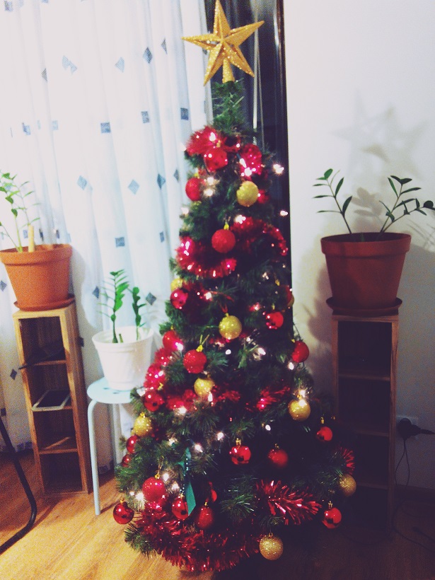 Pochwal się choinką