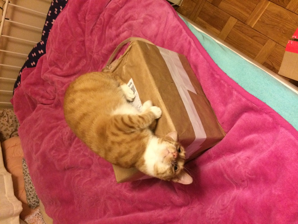 Wymiana kosmetyczna nr 1/2017