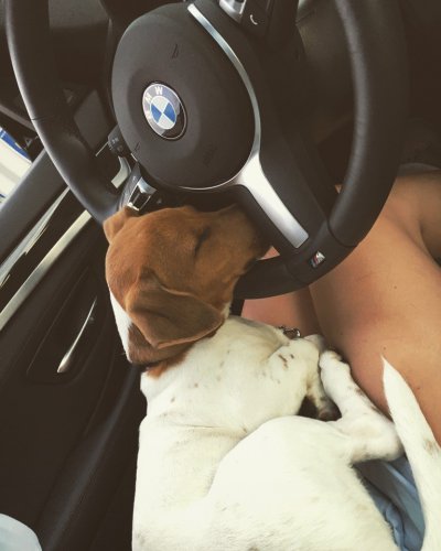 Pochwalmy się swoimi pupilkami :)