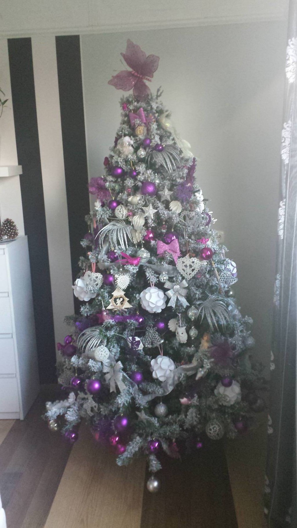 Pochwal się choinką