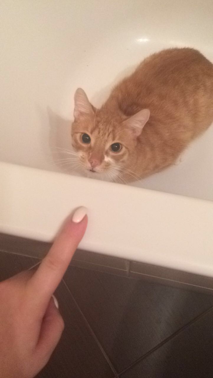 Wymiana kosmetyczna nr 1/2017