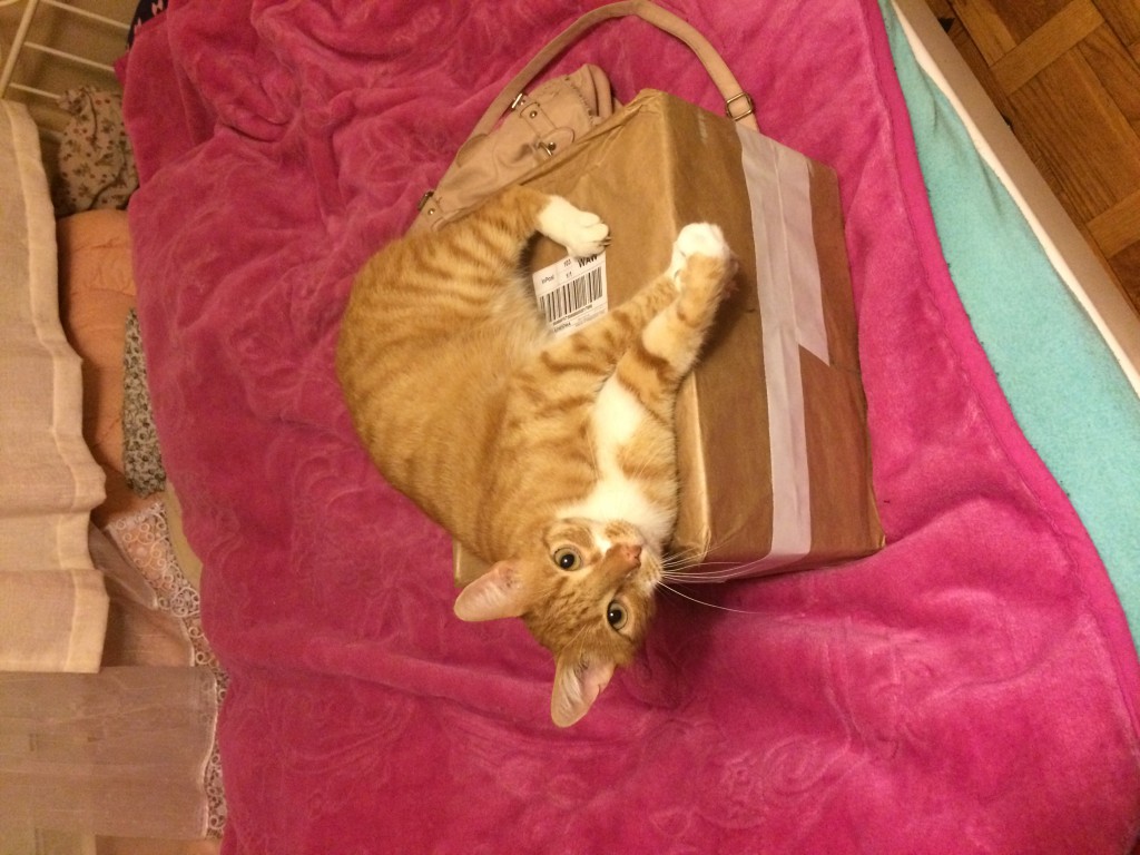 Wymiana kosmetyczna nr 1/2017