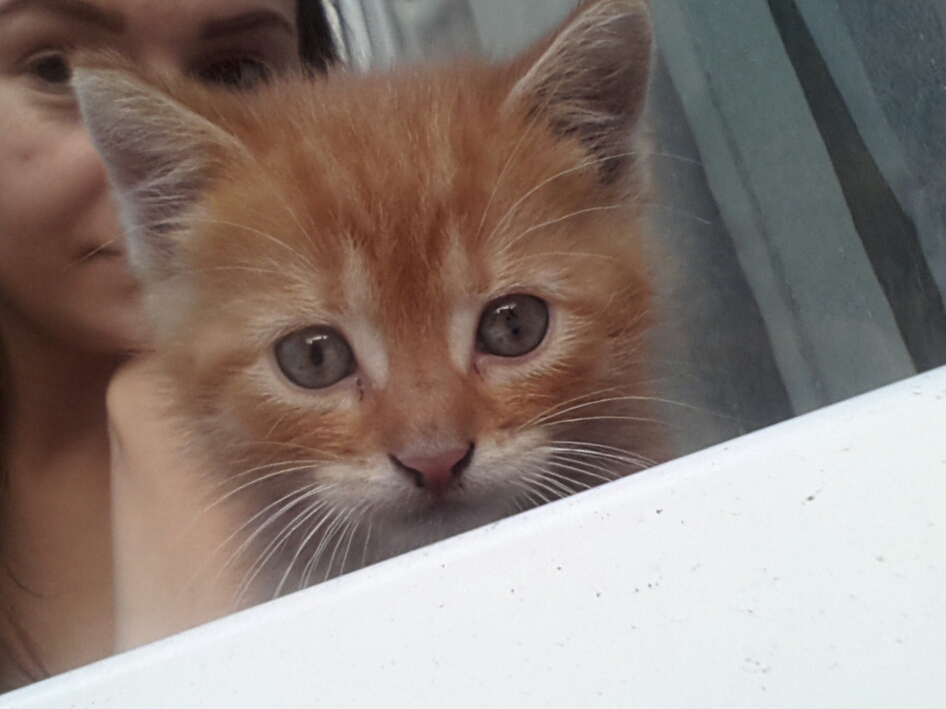 Pochwalmy się swoimi pupilkami :)