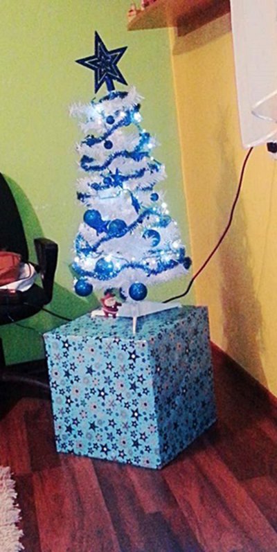 Pochwal się choinką