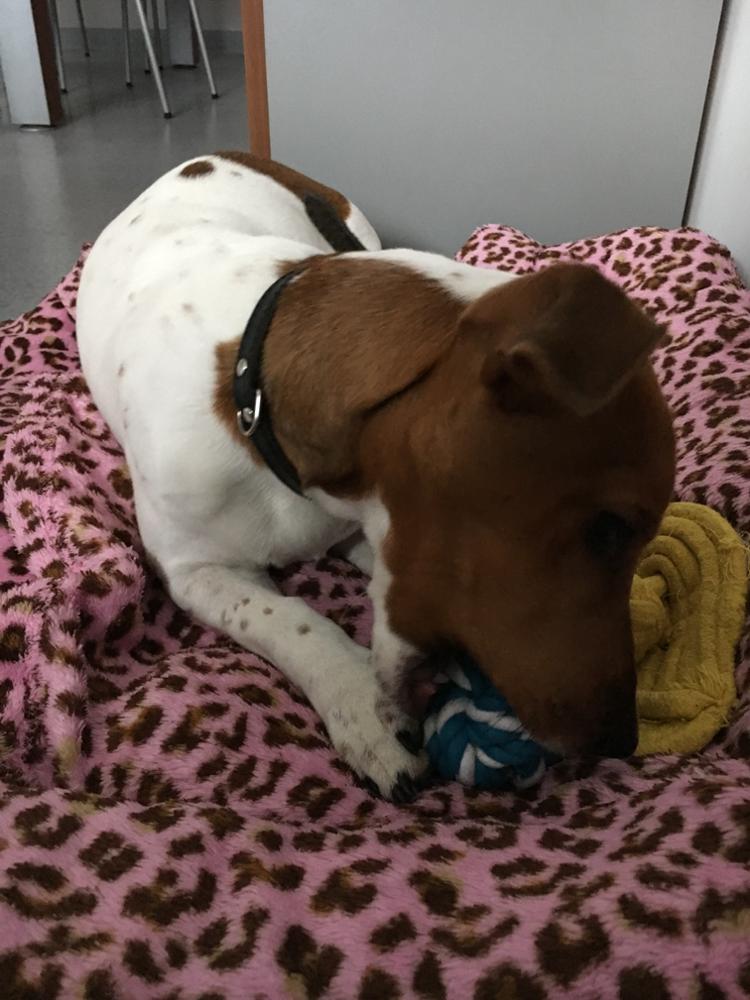 aliexpress.com - POCHWAL SIĘ zakupami! :)