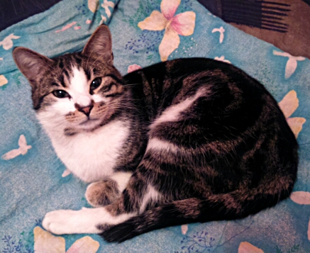 Pochwalmy się swoimi pupilkami :)