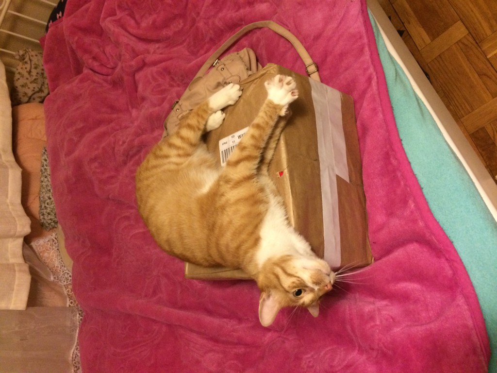 Wymiana kosmetyczna nr 1/2017