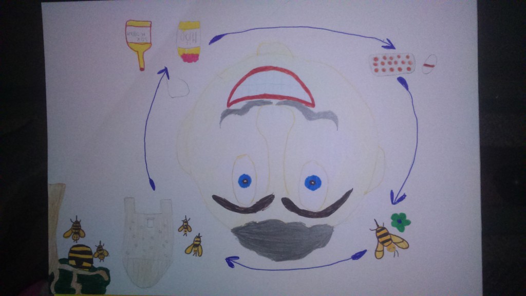 Pszczoła to nie tylko miód