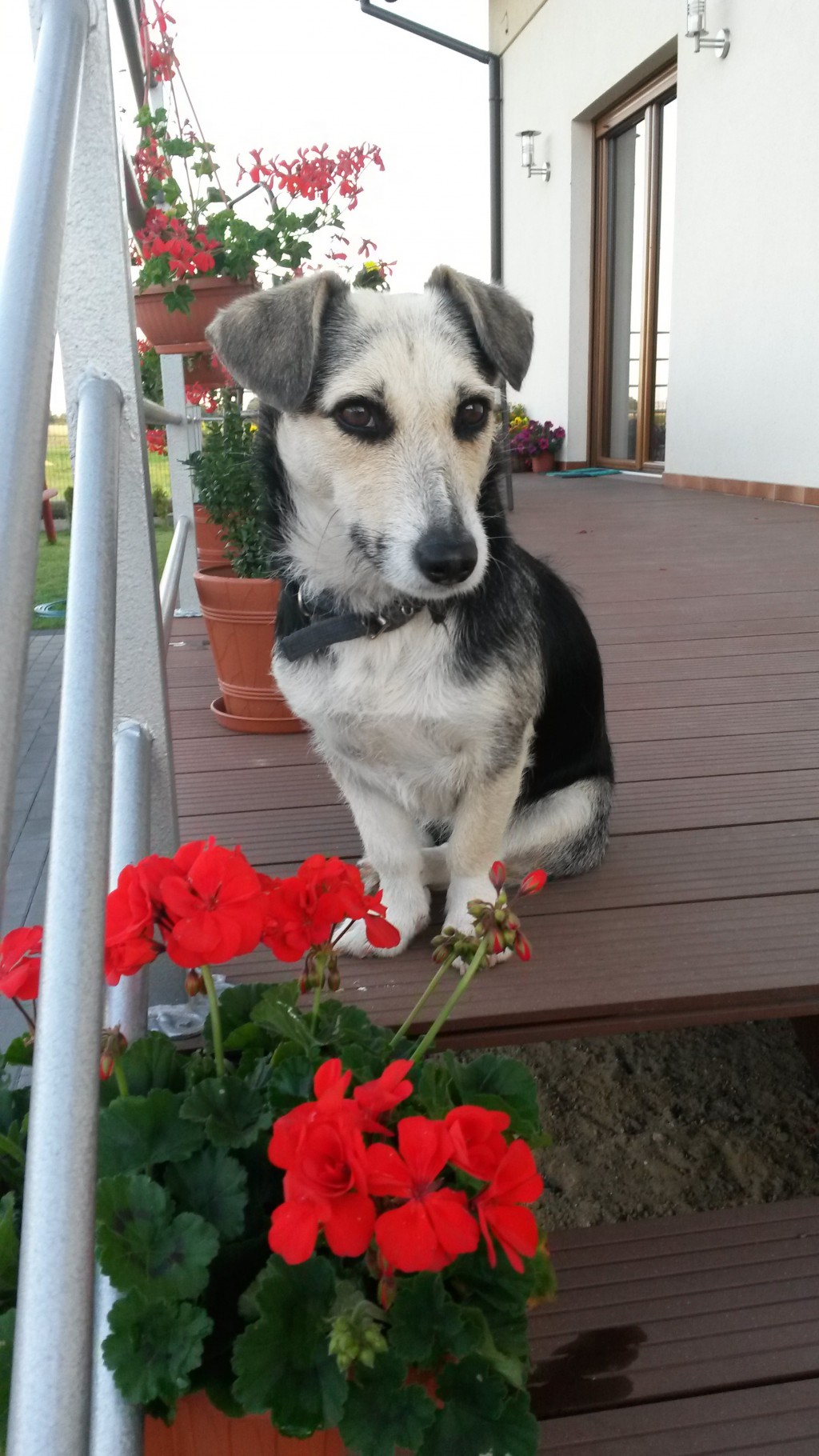 Pochwalmy się swoimi pupilkami :)