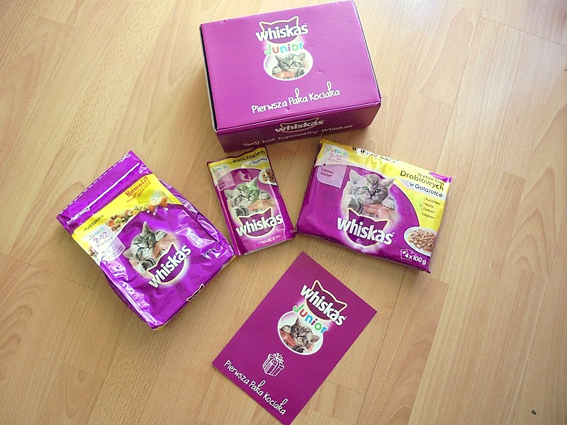 DARMOWA Paka dla kociaka 