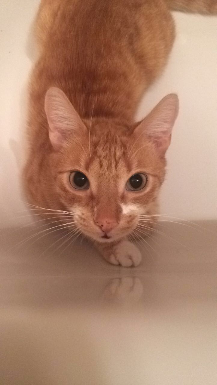 Wymiana kosmetyczna nr 1/2017