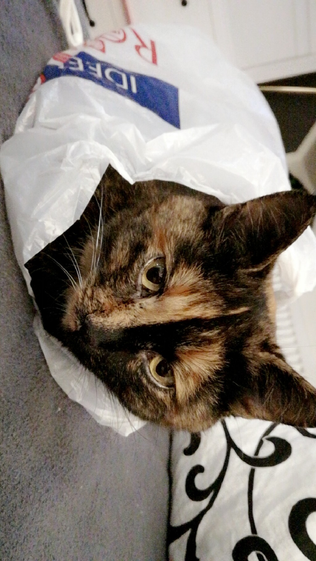 Wymiana kosmetyczna nr 1/2017