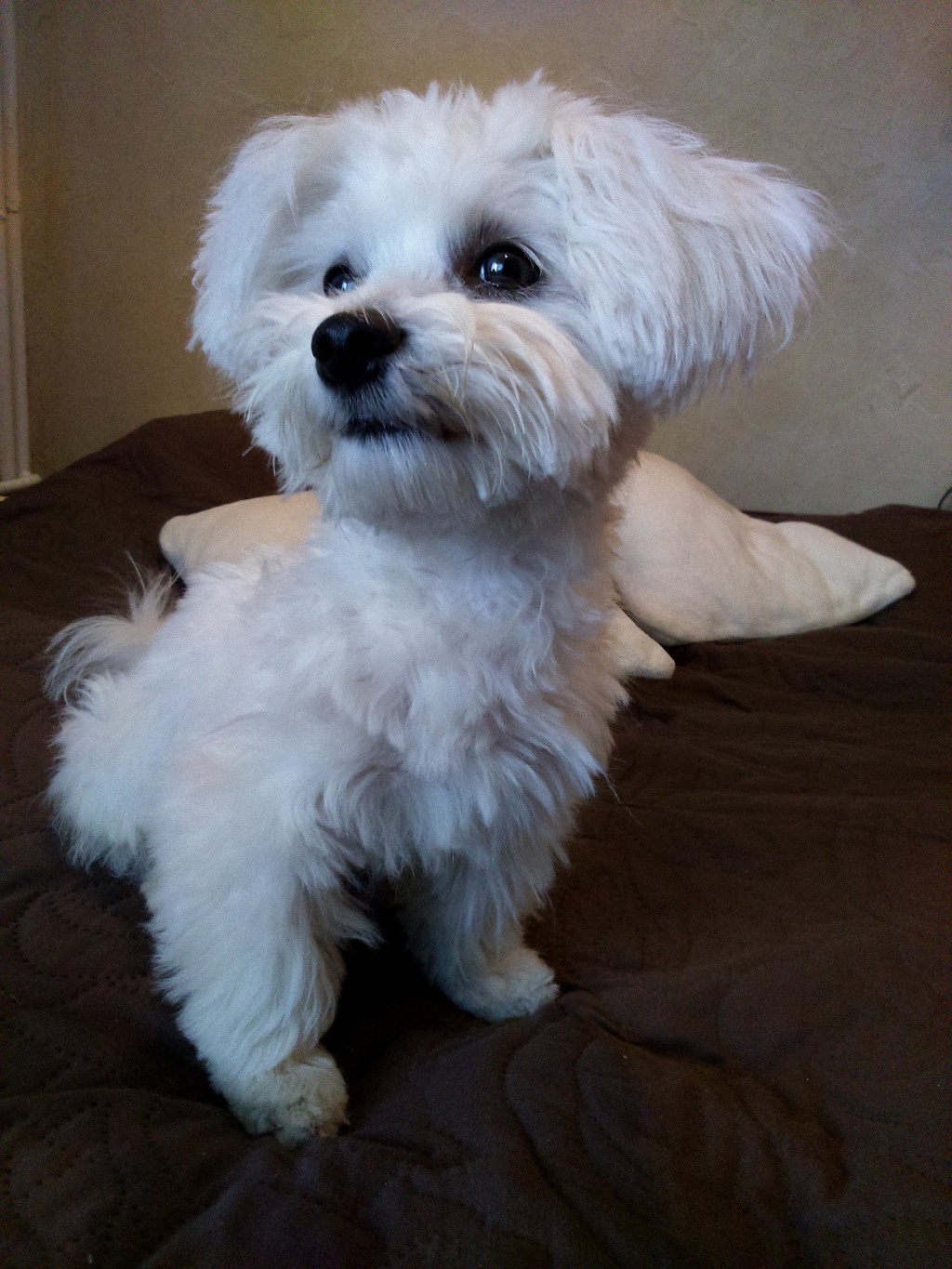 Pochwalmy się swoimi pupilkami :)