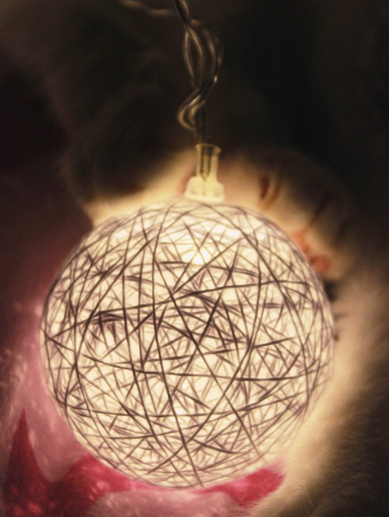 Cotton balls w Biedronce.  :D