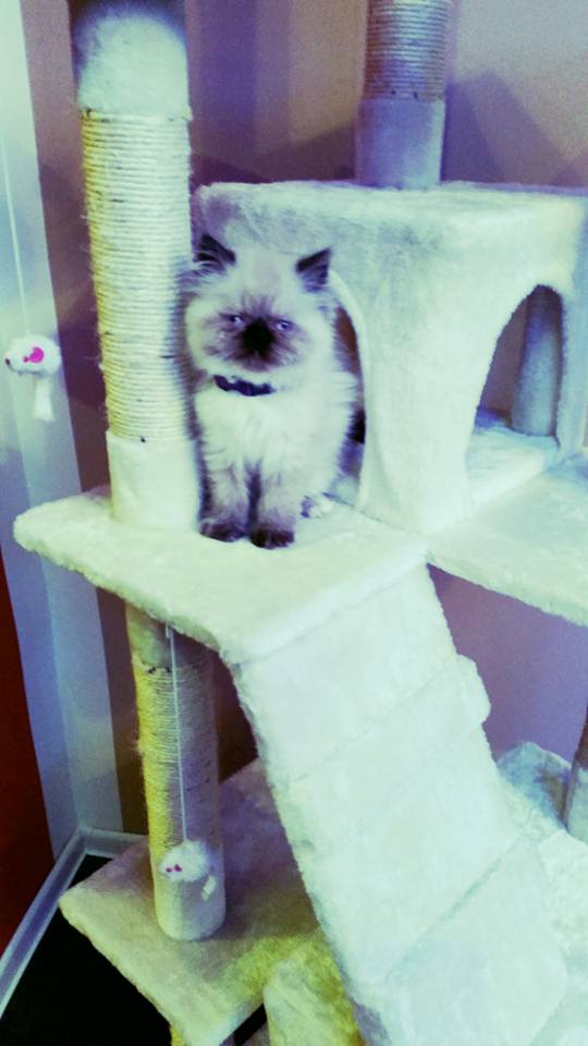 Pochwalmy się swoimi pupilkami :)