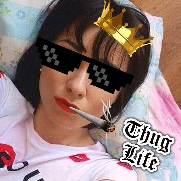 Wyniki egzaminów zawodowych