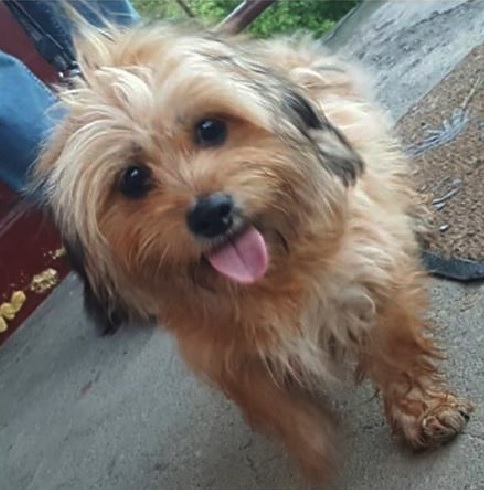 Pochwalmy się swoimi pupilkami :)