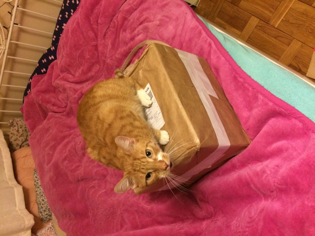 Wymiana kosmetyczna nr 1/2017