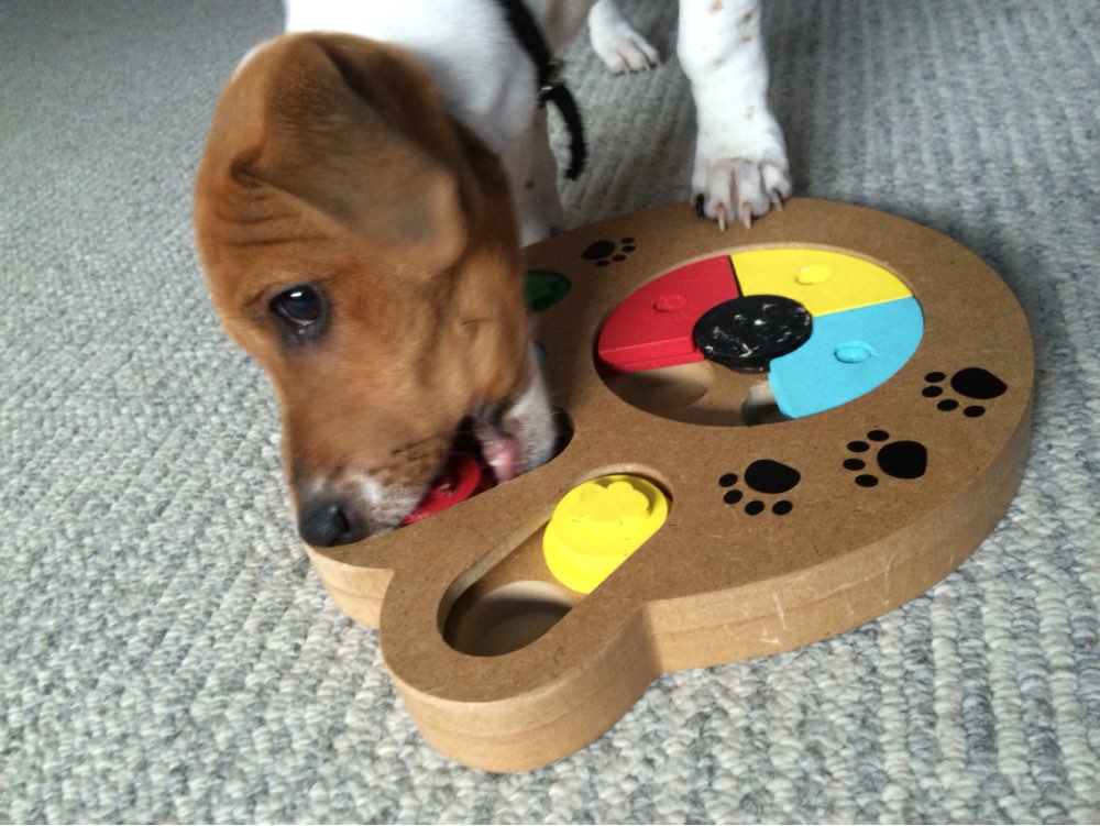 aliexpress.com - POCHWAL SIĘ zakupami! :)