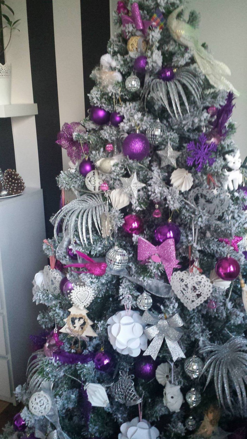 Pochwal się choinką