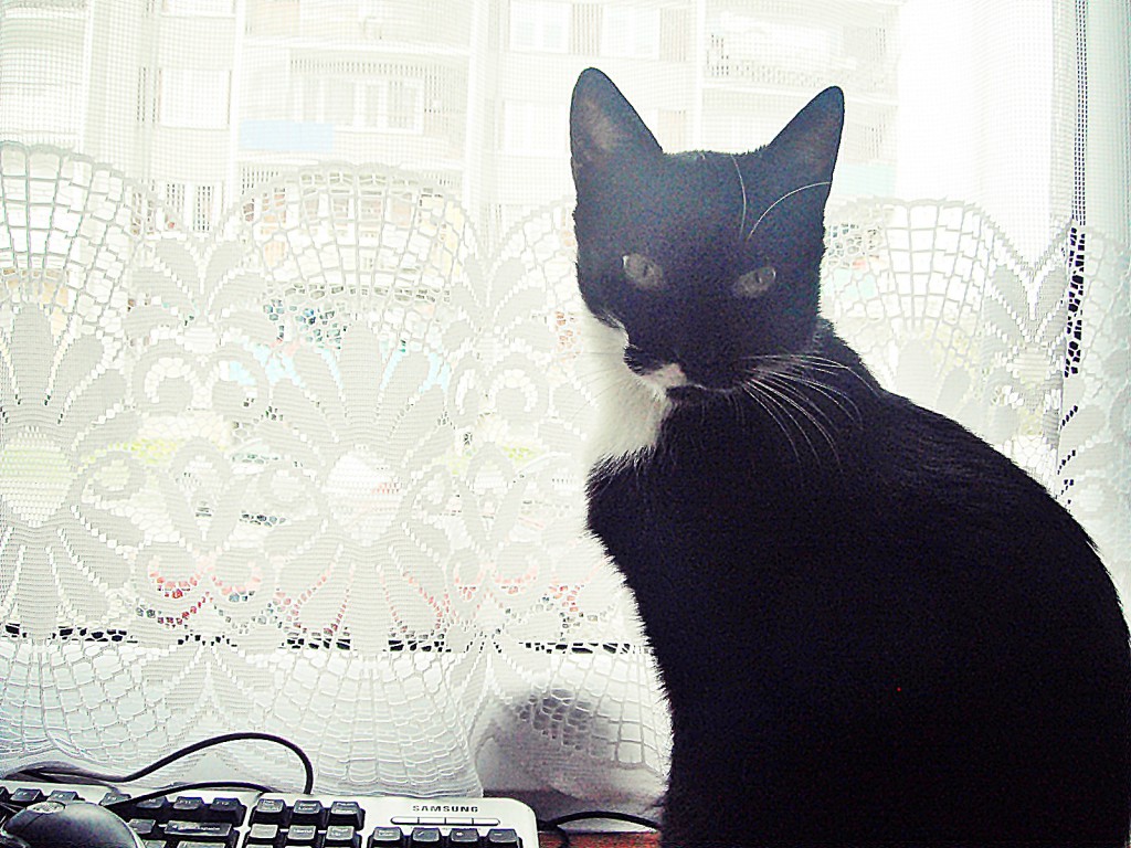 Pochwalmy się swoimi pupilkami :)