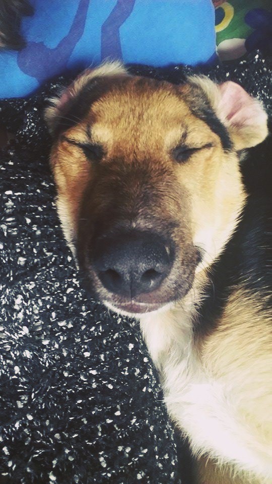 zabawa? wybierz najładniejsze zdjęcie.