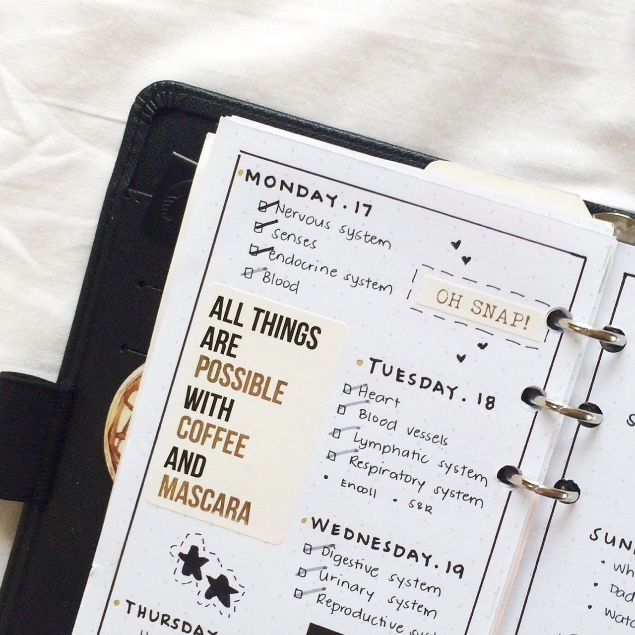 organizer/kalendarz/planner DIY 