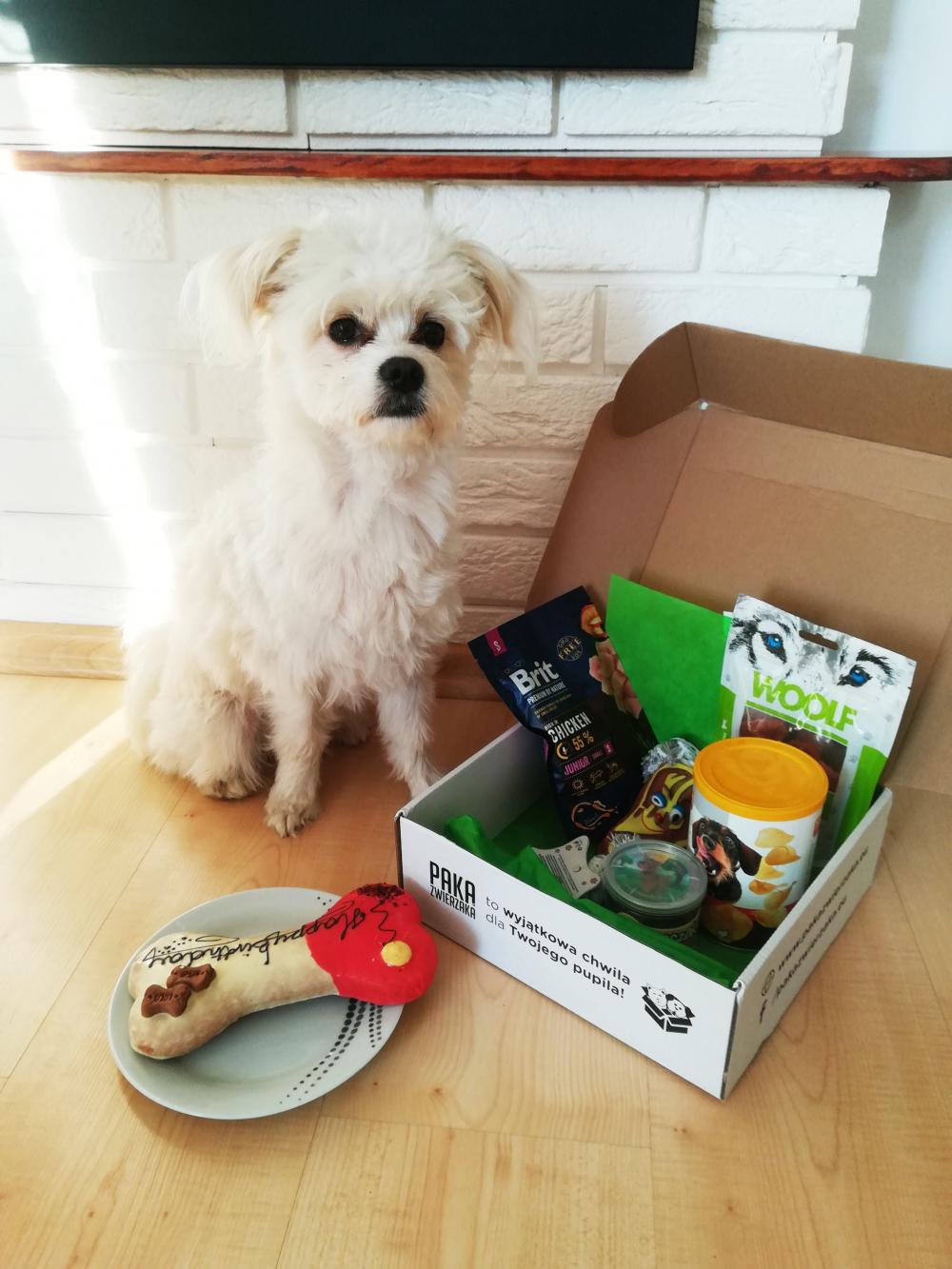 Pochwalmy się swoimi pupilkami :)