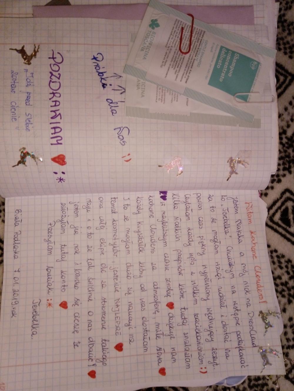 Wędrujący Zeszyt DC (2018/2019/2020)