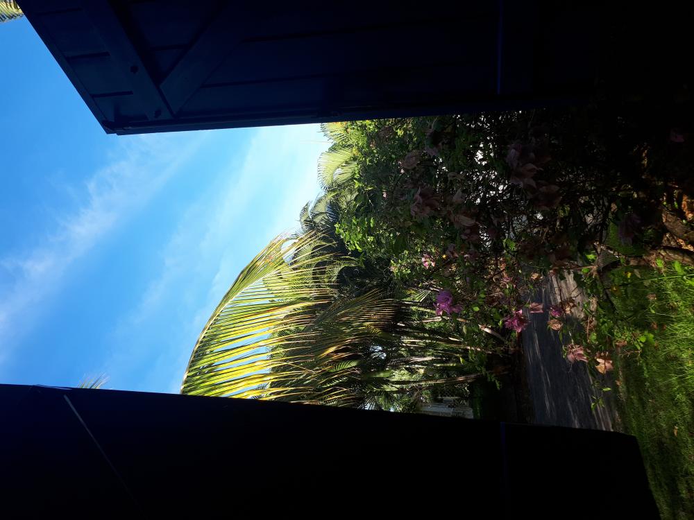 Kulturalne narzekanie na rzeczywistość! Uwaga - zawiera offtopy!