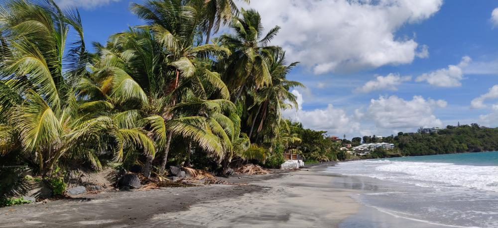 Kulturalne narzekanie na rzeczywistość! Uwaga - zawiera offtopy!