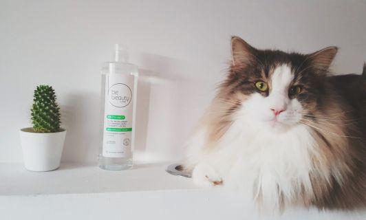 BeBeauty Care, Płyn micelarny do demakijażu, Matujący, Cera tłusta i mieszana
