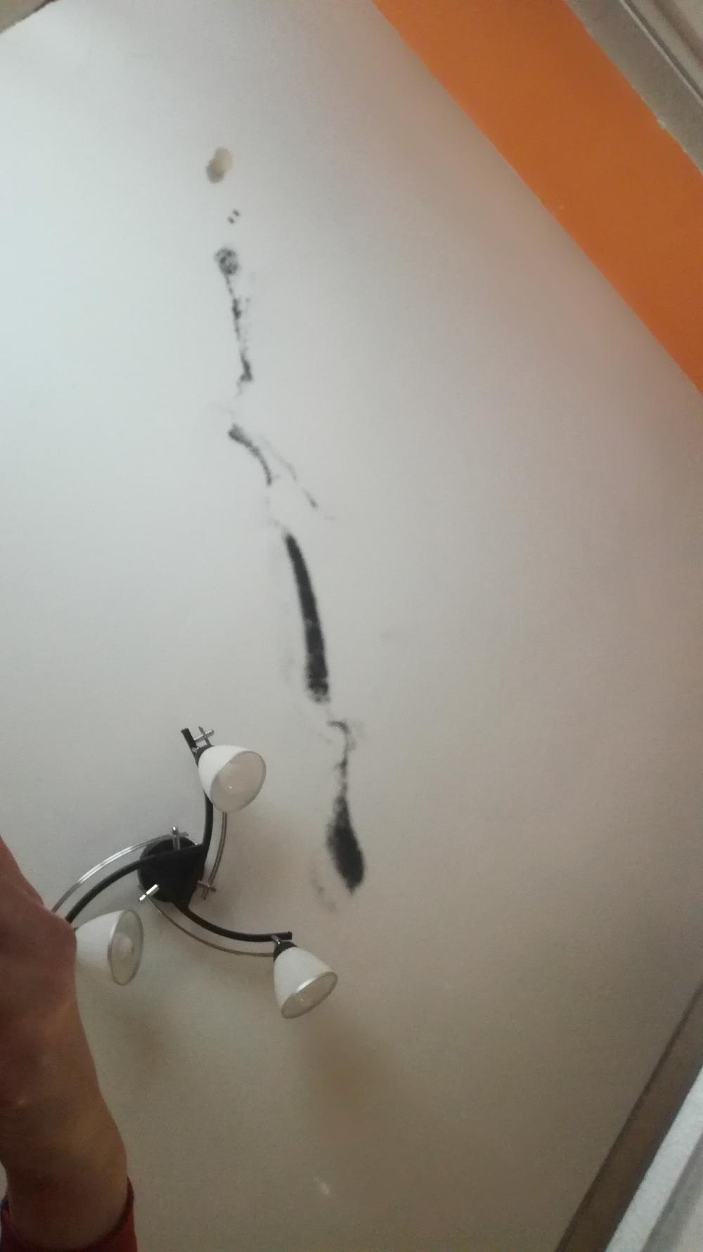 Kulturalne narzekanie na rzeczywistość! Uwaga - zawiera offtopy!