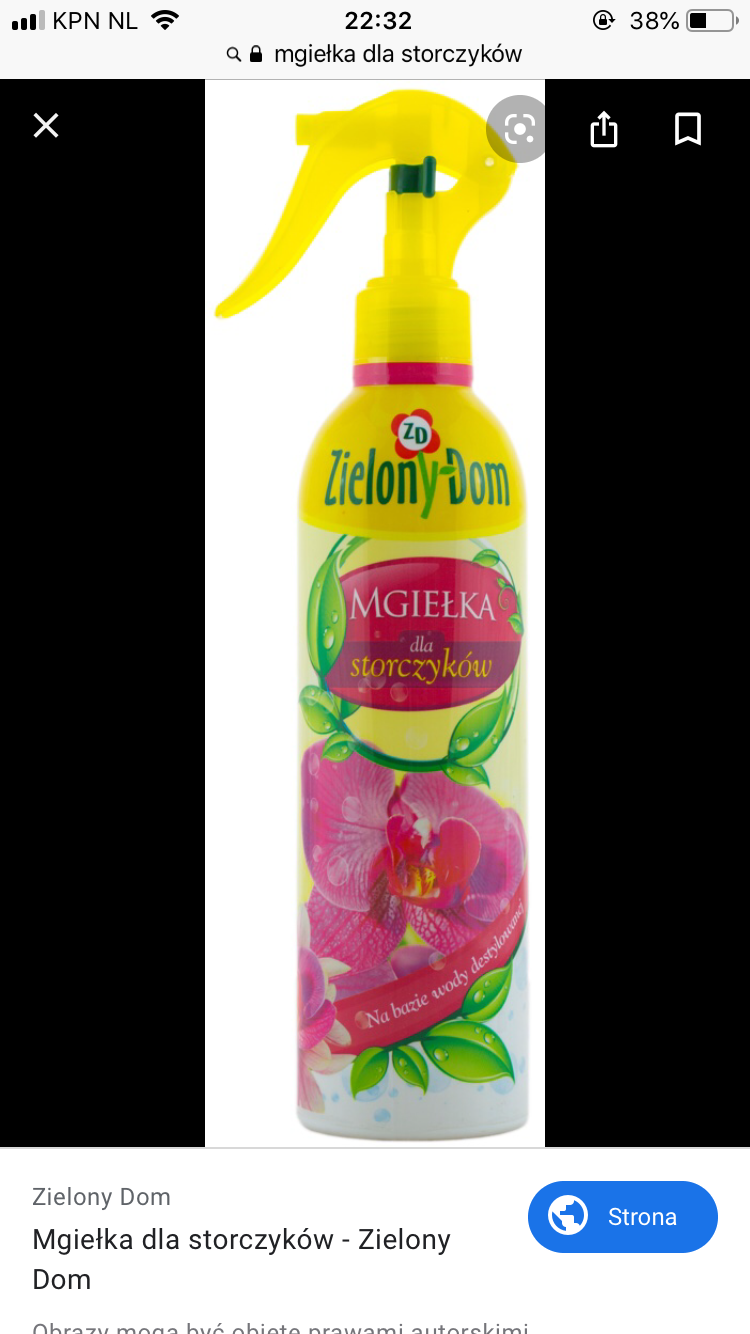 Jestem szczęśliwa bo..